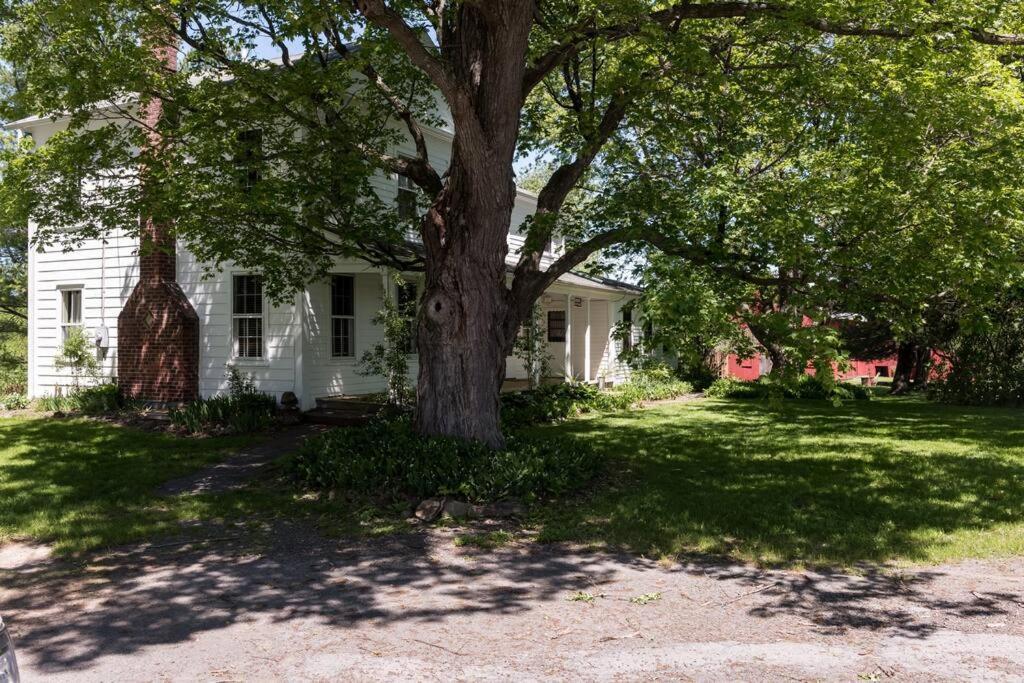 King Hill Cottage Greenville Extérieur photo